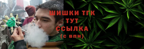 шишки Богданович