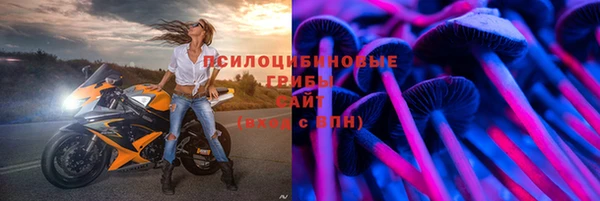 хмурый Богородск