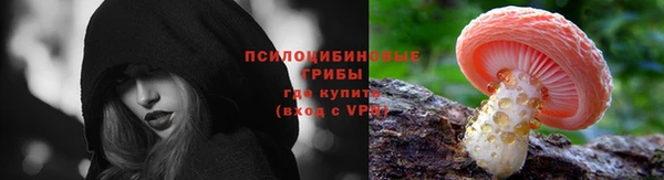 хмурый Богородск