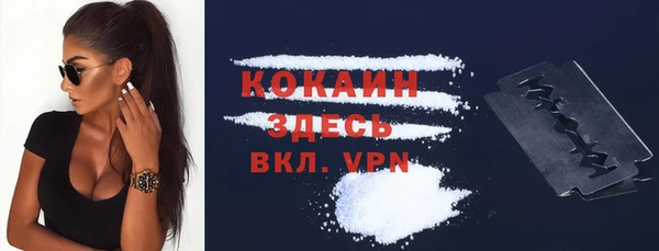 mdpv Богородицк