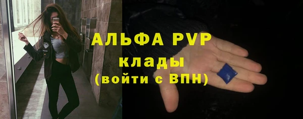 хмурый Богородск
