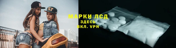 шишки Богданович