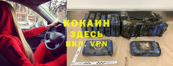 шишки Богданович