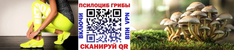 Псилоцибиновые грибы прущие грибы  Верхний Уфалей 